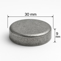 Froststopfen (Kernlochdeckel) Ø 30mm