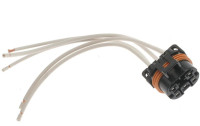 Stecker 