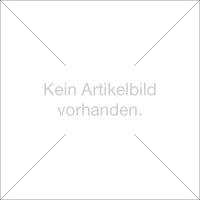 Bremssattel, Hinterachse links    