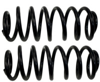 Fahrwerksfedern, Hinterachse (Paar)