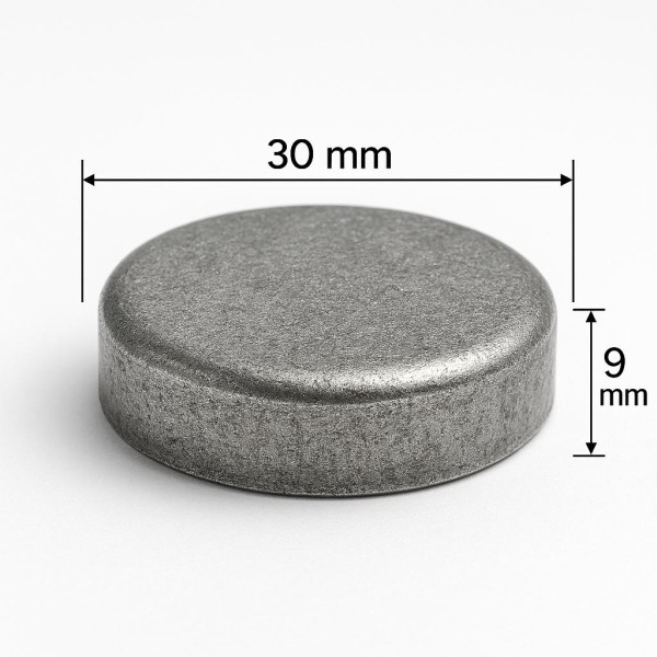 Froststopfen (Kernlochdeckel) Ø 30mm