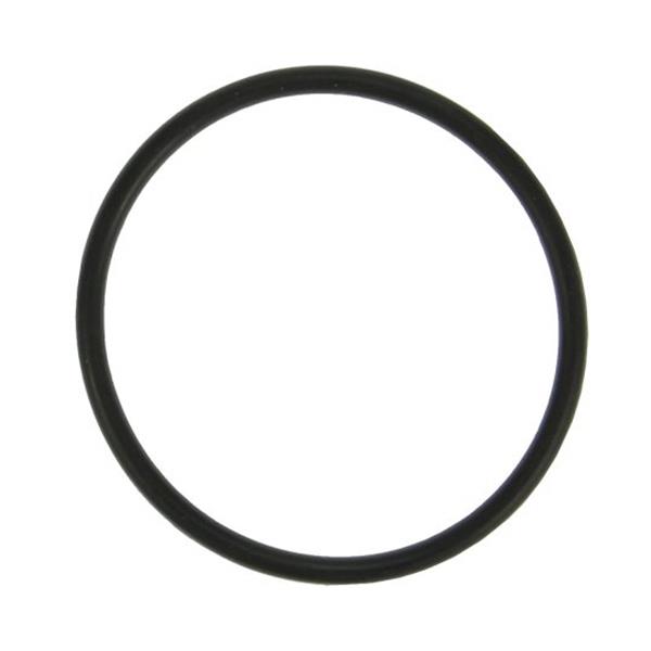 Thermostatdichtung (O-Ring)